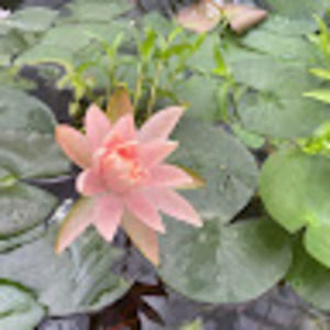 Meet your Posher, Elle